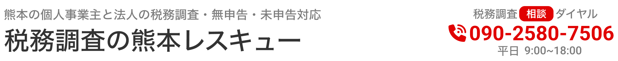 税務調査　熊本　無申告　脱税　税務署　税理士